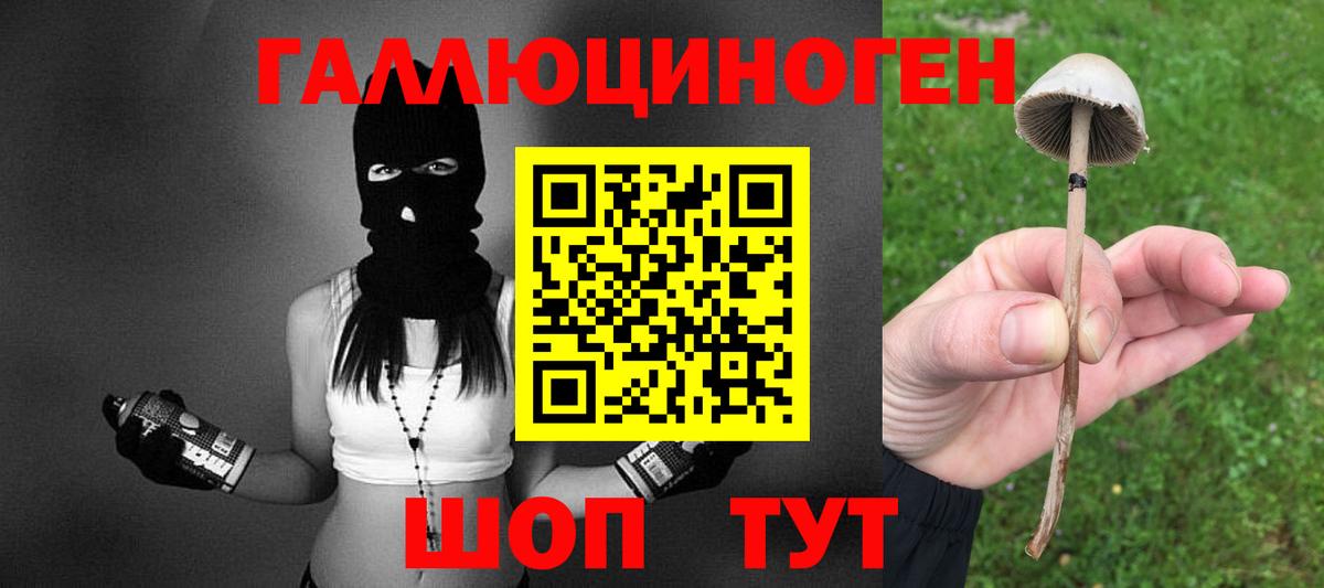 Псилоцибиновые грибы мухоморы  как найти   Гудермес  Вход с VPN 