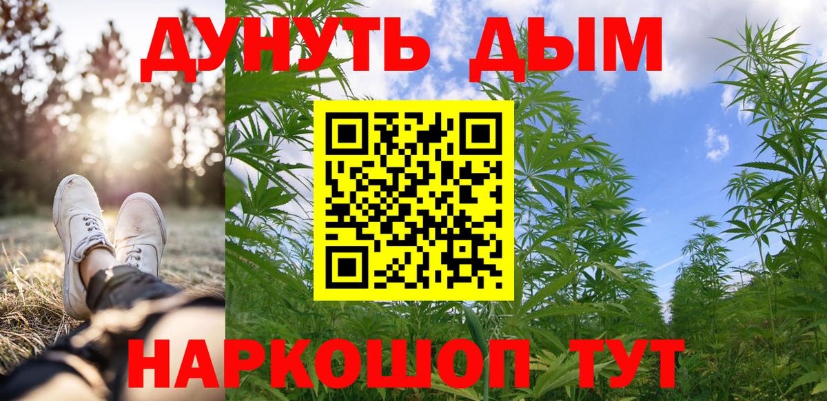 Каннабис MAZAR Гудермес